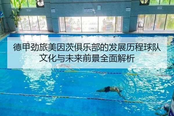 德甲劲旅美因茨俱乐部的发展历程球队文化与未来前景全面解析