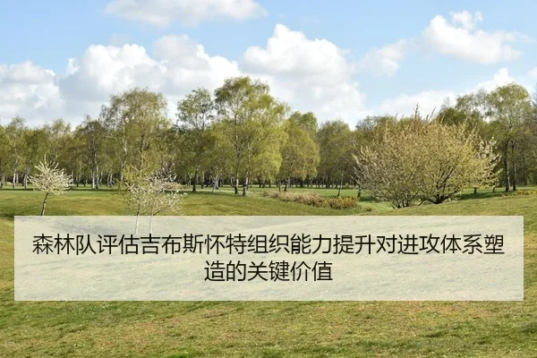 森林队评估吉布斯怀特组织能力提升对进攻体系塑造的关键价值